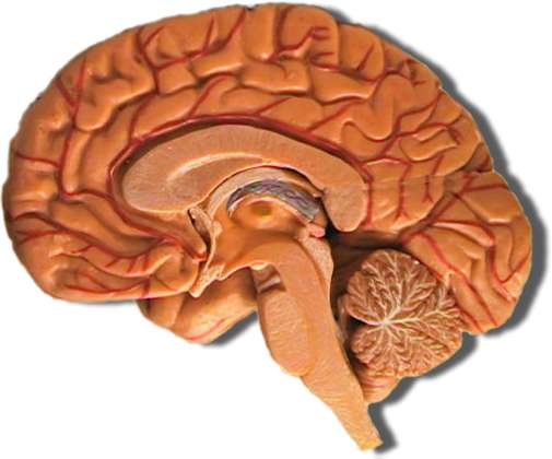 Doctors in Abu Dhabi Hospital Successfully Perform Rare Awake Brain Surgery 