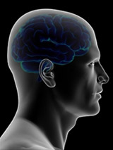  Now, a brain scan can diagnose Alzheimer’s in under 60 minutes
