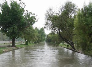 Canal water seepage in Punjab