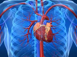 cardio-vascular-diseases