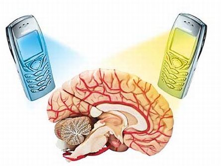 Cell Phone Radiation