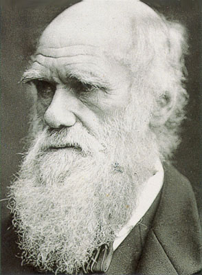 charles-darwin335.jpg