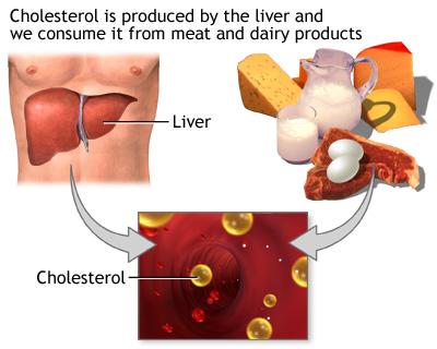 Mono non inundated Fats Increases fine Cholesterol