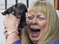 Florida couple gets 155,000-dollar cloned dog 