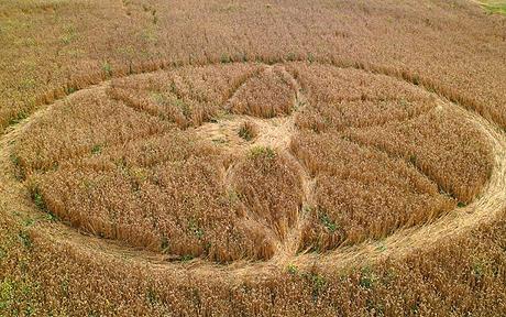 Crop Circles