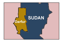 US lawmakers arrested during Darfur protest 