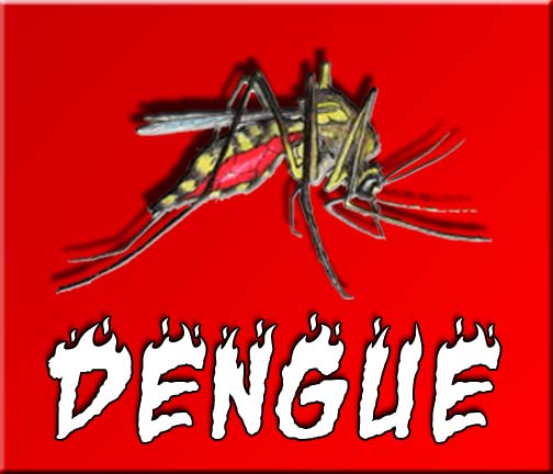 13 New Cases of Dengue; Over 1,000 Affected In National Capital 