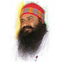 dera_sacha_sauda_chief