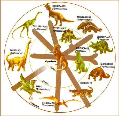 Dinosaur Species