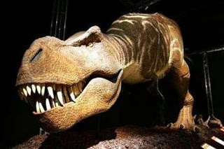 Asteroid family blamed for killing dinos ‘not the culprit’
