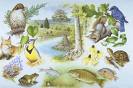 ecosystem