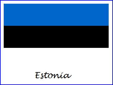  Estonia government pledges high speed internet access 