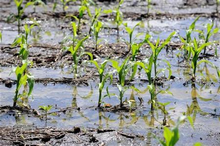 Lebanese farmers accuse Israelis of flooding their land 