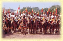 Ships of the desert 'sail' in Bikaner