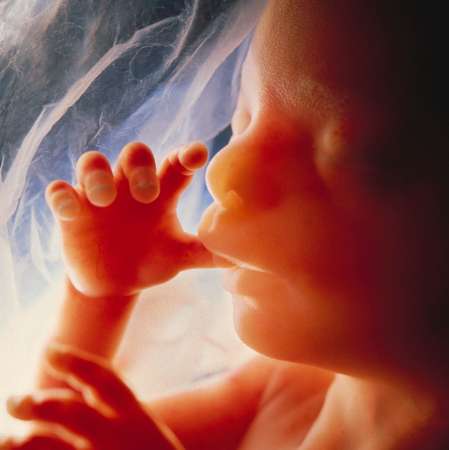 UK hospitals heated by burning 15,000 aborted, miscarried fetuses