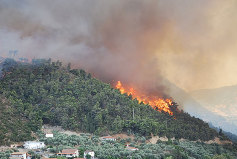 Лесные пожары в России 2010