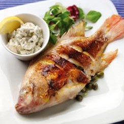 Why fish is so good for your health
