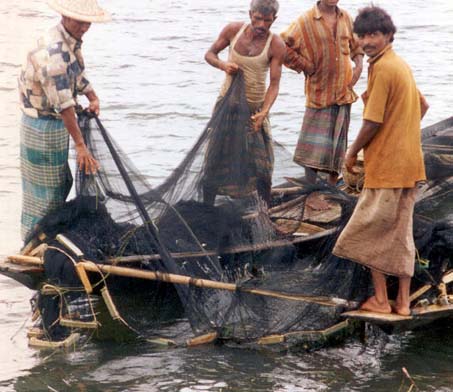 Eight Orissa men held for fishing at turtle nesting site