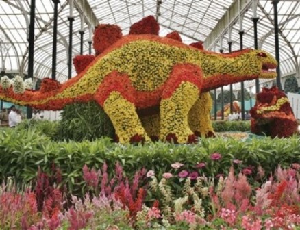 A colourful flower show in Bangalore