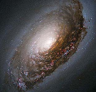 “Soup of life” detected in galaxy 250 mln light years away