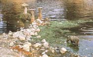 pollutes river