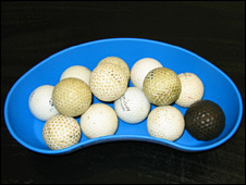 "Rattling" Labrador in Britain had 13 golf balls in stomach 