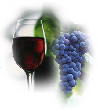 Red Wine Grapes