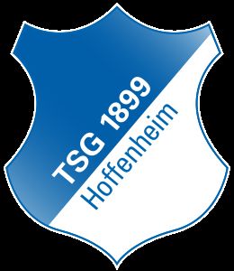 Hoffenheim go top as Bayern, Hertha crash in Bundesliga