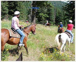 Exploring the Pyrenees on horseback