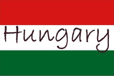 Hungary's new economy minister steps down