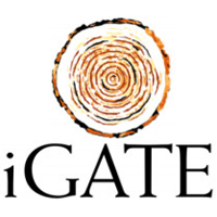 iGate Witnesses a Fall In its Profit in First Quarter ended in June 2011