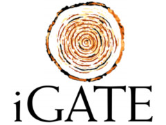 iGate net down 8.6 percent in first quarter