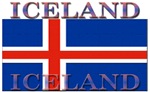 Central bank chief of Iceland to quit