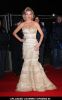 Amanda Holden at 2010 Collars and Coats Gala Ball Marking the 150th Anniversary of Battersea Dogs and Cats Home - Arrivals