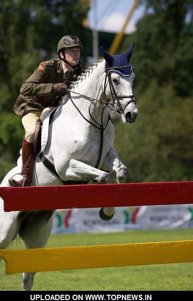 david o brien bearing