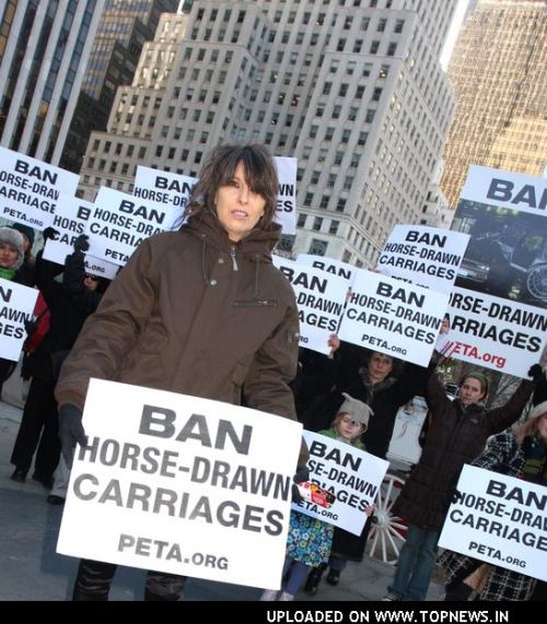 Chrissie Hynde Leads PETA Carriage-Horse Protest in Central Park on January 31, 2008