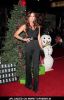 Danneel Harris at "A Very Harold & Kumar 3D Christmas" Los Angeles Premiere - Arrivals