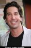 David Schwimmer at "Away We Go" Special New York City Screening - Arrivals