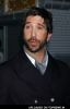 David Schwimmer at "Run Fatboy Run" Los Angeles Premiere - Arrivals