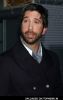 David Schwimmer at "Run Fatboy Run" Los Angeles Premiere - Arrivals