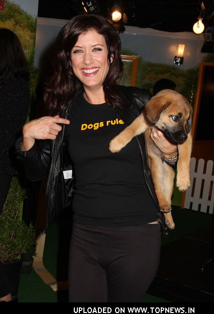 Kate Walsh Opens Pedigree Dog Store in Times Square to Help Shelter Dogs Find Loving Homes