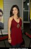 Kristi Yamaguchi at "The Hammer" Los Angeles Premiere