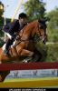Leon Thijssen at 88th International Official Showjumping Competition CSIO - Day 4