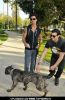 Lorenzo Lamas and A.J. Lamas Play with His Dog Diablo at Will Roger Park in Beverly Hills on January 19, 2011