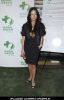 Lynn Collins Global Green USA's 6th Annual Pre-Oscar Party Benefiting Green Schools - Arrivals