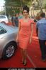 Mallika Sherawat at Spanish Theme New Year's eve press meet at Tulip Star