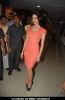 Mallika Sherawat at Spanish Theme New Year's eve press meet at Tulip Star
