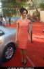 Mallika Sherawat at Spanish Theme New Year's eve press meet at Tulip Star