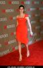 Marisa Tomei at 2010 CNN Heroes: An All-Star Tribute - Arrivals