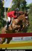 Mathias Albarracin at 88th International Official Showjumping Competition CSIO - Day 4